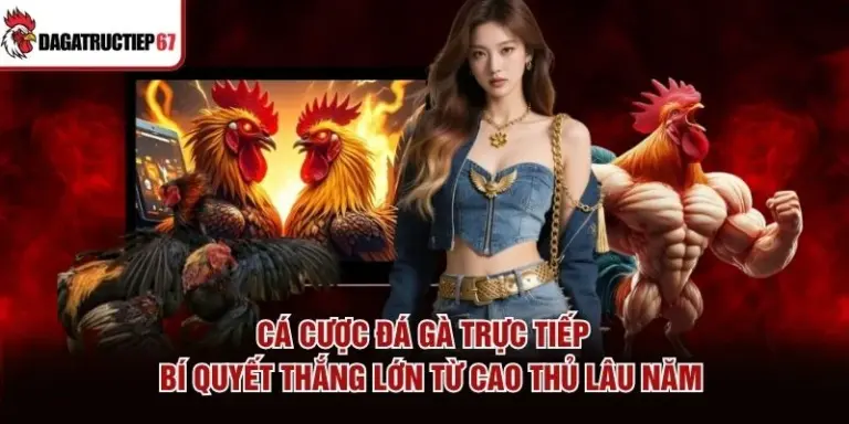 Cá Cược Đá Gà Trực Tiếp - Bí Quyết Thắng Lớn Từ Cao Thủ Lâu Năm