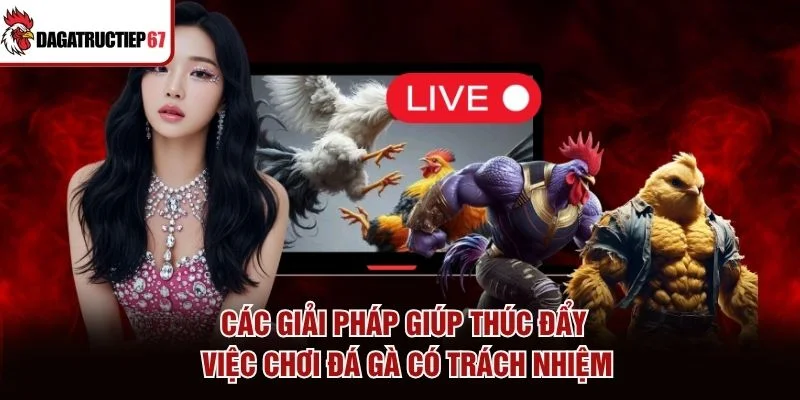 Các giải pháp giúp thúc đẩy việc chơi đá gà có trách nhiệm Các giải pháp giúp thúc đẩy việc chơi đá gà có trách nhiệm