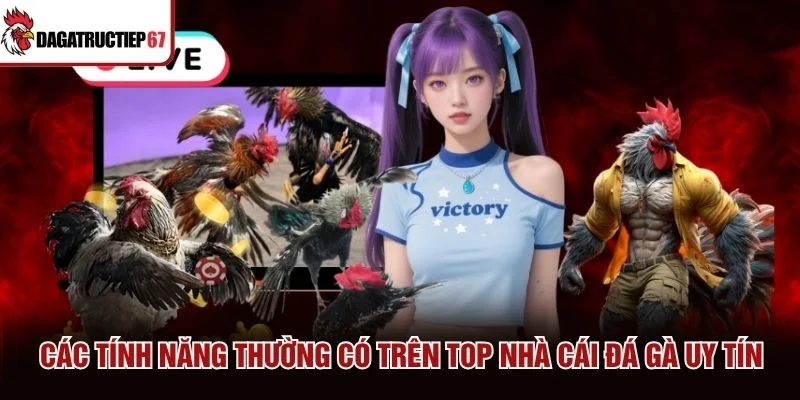 Các tính năng thường có trên top nhà cái đá gà uy tín Các tính năng thường có trên top nhà cái đá gà uy tín