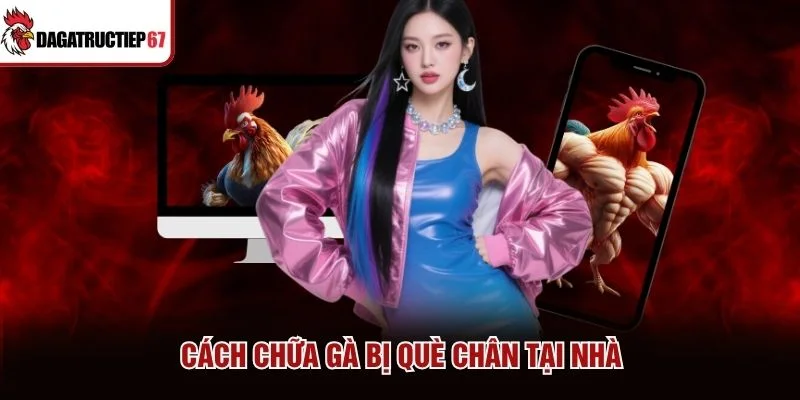 Cách chữa gà bị què chân tại nhà