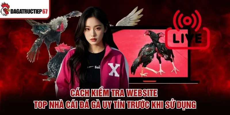 Cách kiểm tra website top nhà cái đá gà uy tín trước khi sử dụng Cách kiểm tra website top nhà cái đá gà uy tín trước khi sử dụng