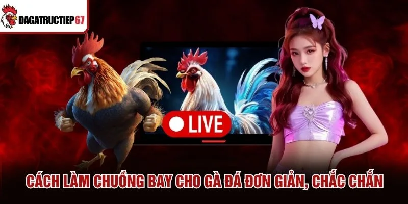 Cách Làm Chuồng Bay Cho Gà Đá Đơn Giản, Chắc Chắn
