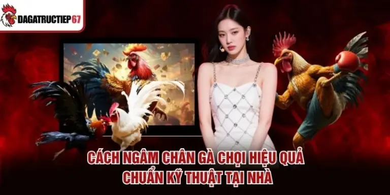 Cách Ngâm Chân Gà Chọi Hiệu Quả, Chuẩn Kỹ Thuật Tại Nhà