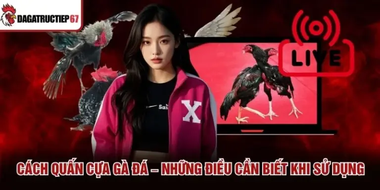 Cách Quấn Cựa Gà Đá – Những Điều Cần Biết Khi Sử Dụng