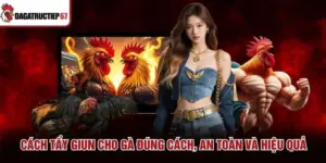 Cách Tẩy Giun Cho Gà Đúng Cách, An Toàn Và Hiệu Quả