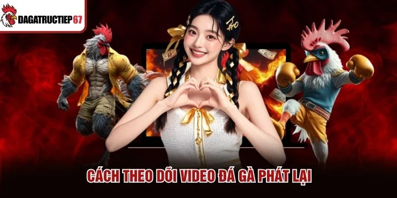 Cách theo dõi video đá gà phát lại