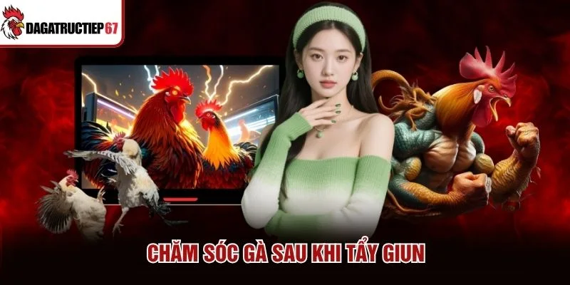 Chăm sóc gà sau khi tẩy giun