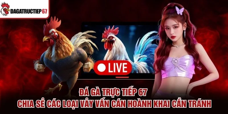 Đá Gà Trực Tiếp 67 chia sẻ các loại vảy vấn cán hoành khai cần tránh