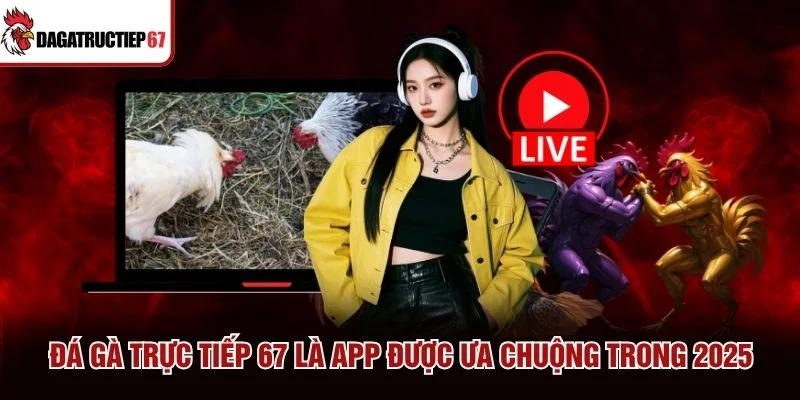Đá Gà Trực Tiếp 67&nbsp;là app được ưa chuộng trong 2025