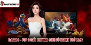 DAGA88 - Top 3 Đấu Trường Sinh Tử Nghẹt Thở 2026