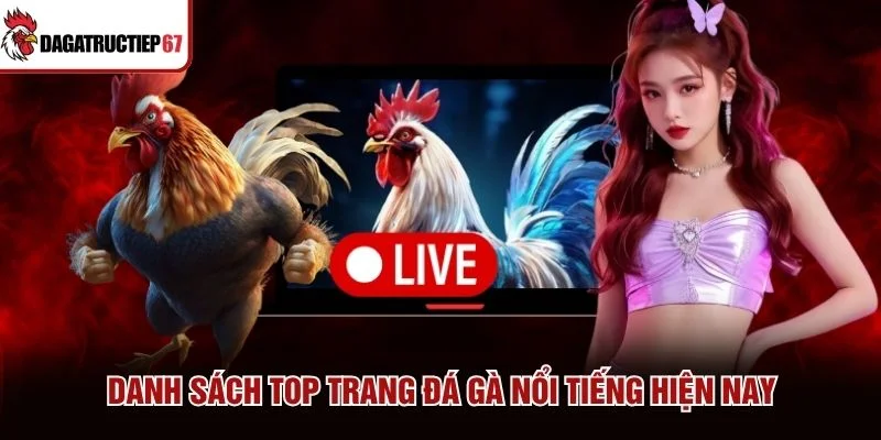 Danh sách top trang đá gà nổi tiếng hiện nay Danh sách top trang đá gà nổi tiếng hiện nay