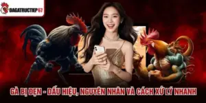 Gà Bị Đẹn - Dấu Hiệu, Nguyên Nhân Và Cách Xử Lý Nhanh