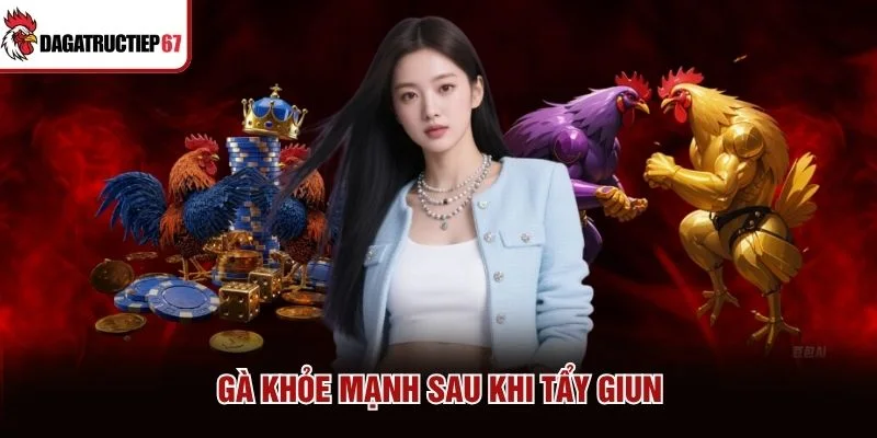 Gà khỏe mạnh sau khi tẩy giun