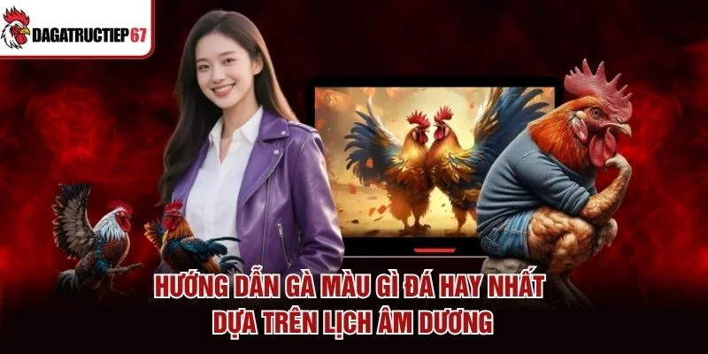 Hướng dẫn gà màu gì đá hay nhất dựa trên lịch âm dương