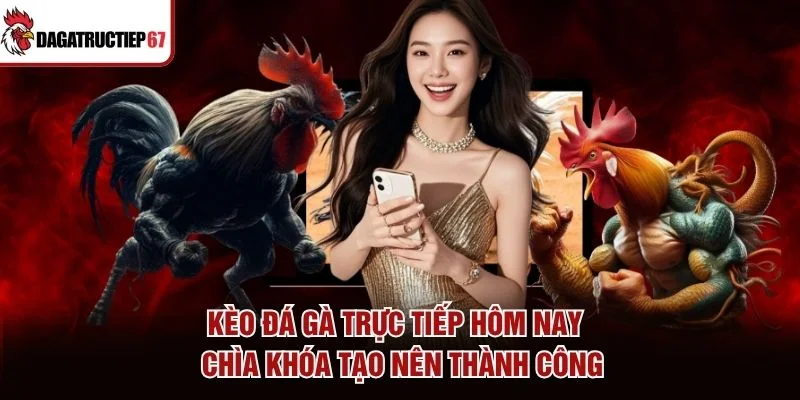 Kèo Đá Gà Trực Tiếp Hôm Nay - Chìa Khóa Tạo Nên Thành Công