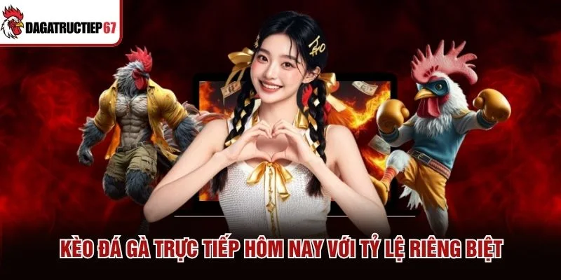 Kèo đá gà trực tiếp hôm nay với tỷ lệ riêng biệt Kèo đá gà trực tiếp hôm nay với tỷ lệ riêng biệt