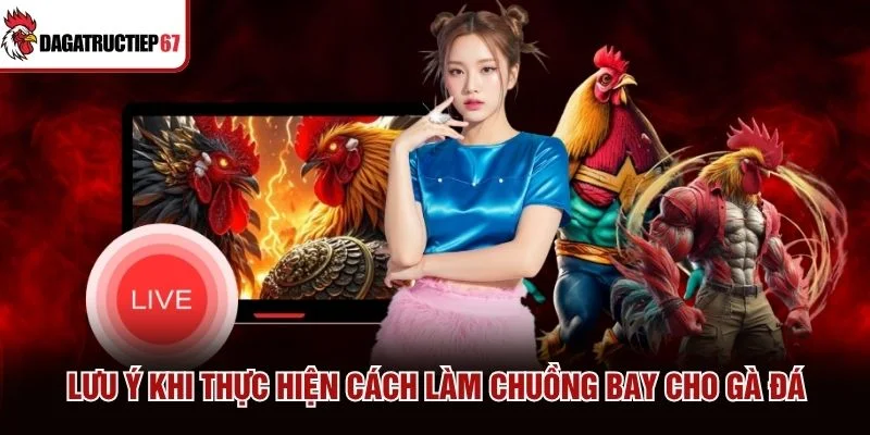 Lưu ý khi thực hiện cách làm chuồng bay cho gà đá
