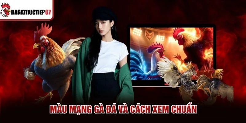 Màu mạng gà đá và cách xem chuẩn Màu mạng gà đá và cách xem chuẩn