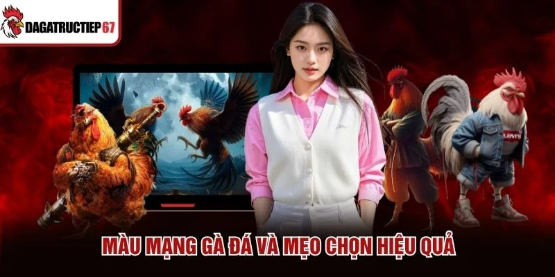 Màu mạng gà đá và mẹo chọn hiệu quả Màu mạng gà đá và mẹo chọn hiệu quả
