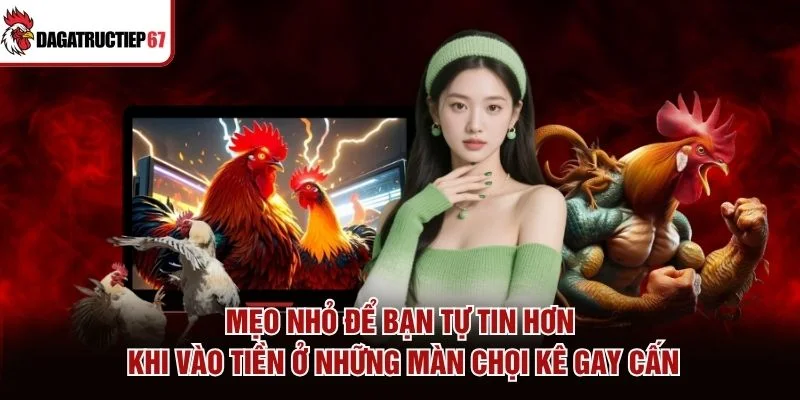Mẹo nhỏ để bạn tự tin hơn khi vào tiền ở những màn chọi kê gay cấn Mẹo nhỏ để bạn tự tin hơn khi vào tiền ở những màn chọi kê gay cấn