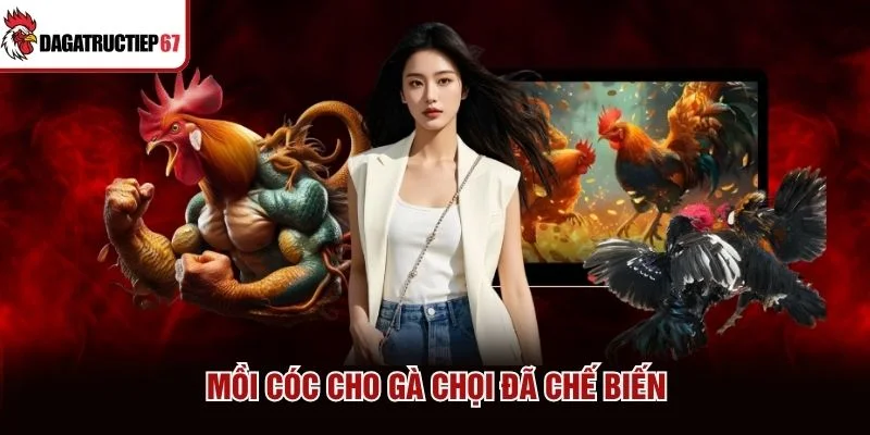 Mồi cóc cho gà chọi đã chế biến