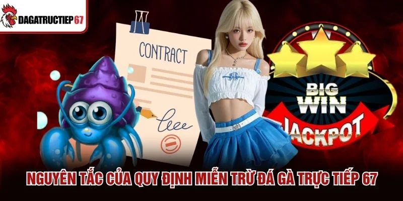 Nguyên tắc của quy định miễn trừ Đá Gà Trực Tiếp 67
