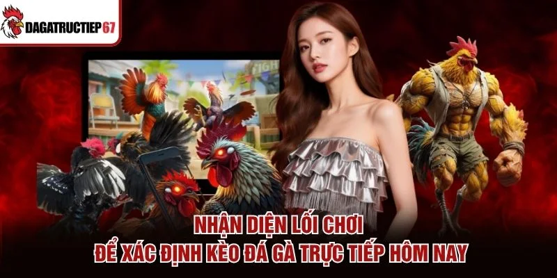 Nhận diện lối chơi để xác định kèo đá gà trực tiếp hôm nay Nhận diện lối chơi để xác định kèo đá gà trực tiếp hôm nay