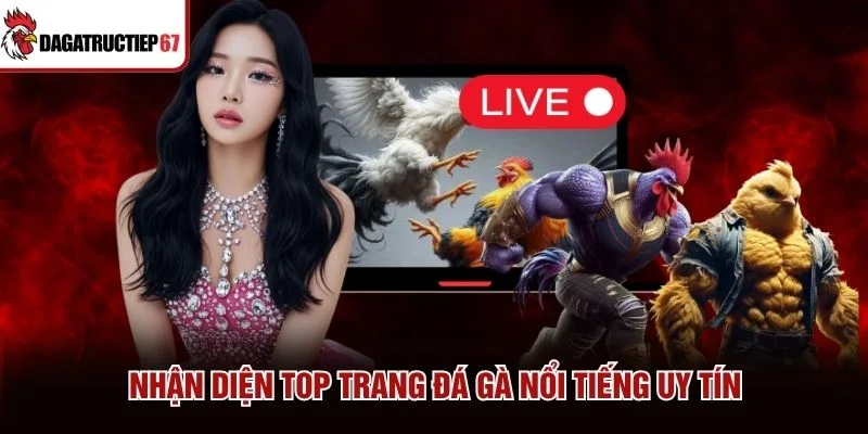 Nhận diện top trang đá gà nổi tiếng uy tín Nhận diện top trang đá gà nổi tiếng uy tín