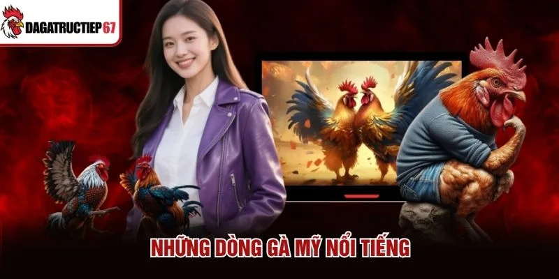 Những dòng gà Mỹ nổi tiếng