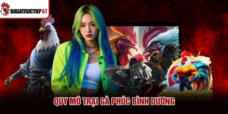 Quy mô trại gà Phúc Bình Dương