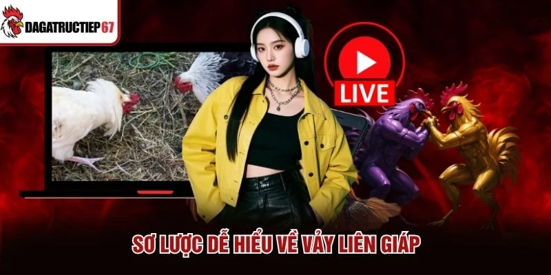 Sơ lược dễ hiểu về vảy liên giáp