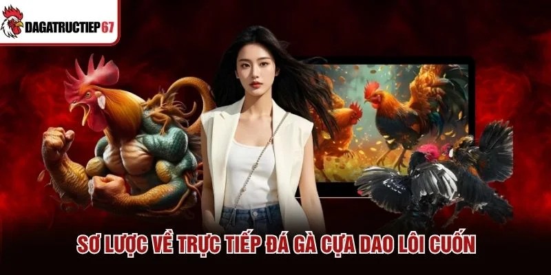 Sơ lược về trực tiếp đá gà cựa dao lôi cuốn Sơ lược về trực tiếp đá gà cựa dao lôi cuốn