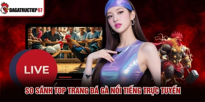 So sánh top trang đá gà nổi tiếng trực tuyến So sánh top trang đá gà nổi tiếng trực tuyến