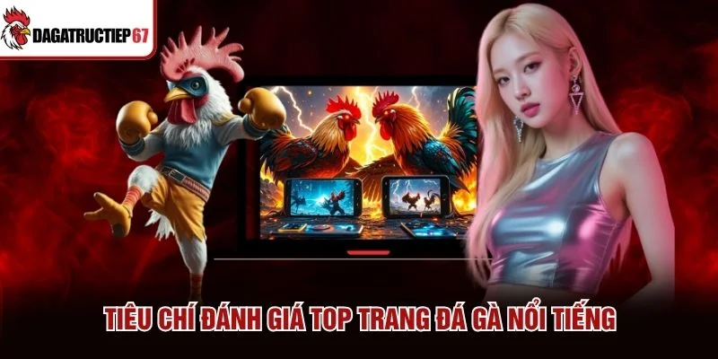 Tiêu chí đánh giá top trang đá gà nổi tiếng Tiêu chí đánh giá top trang đá gà nổi tiếng