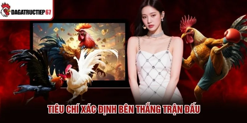 Tiêu chí xác định bên thắng trận đấu Tiêu chí xác định bên thắng trận đấu