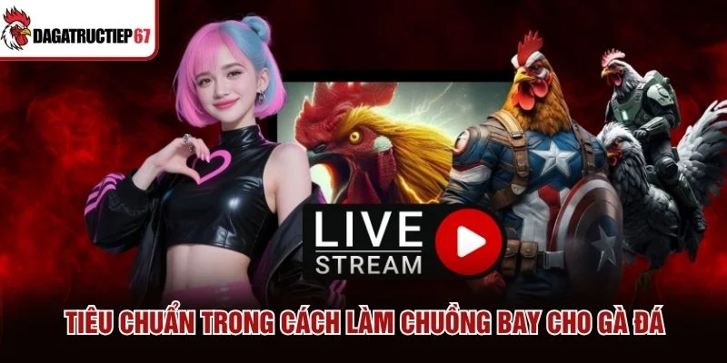 Tiêu chuẩn trong cách làm chuồng bay cho gà đá