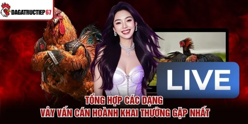 Tổng hợp các dạng vảy vấn cán hoành khai thường gặp nhất