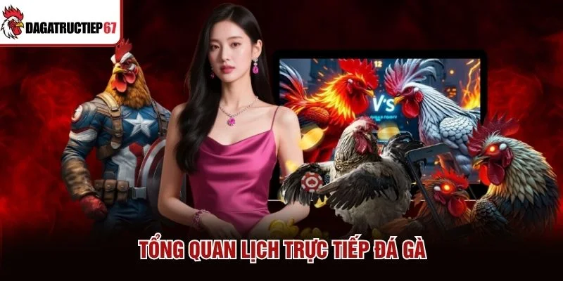 Tổng quan lịch trực tiếp đá gà Tổng quan lịch trực tiếp đá gà