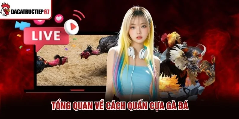 Tổng quan về cách quấn cựa gà đá