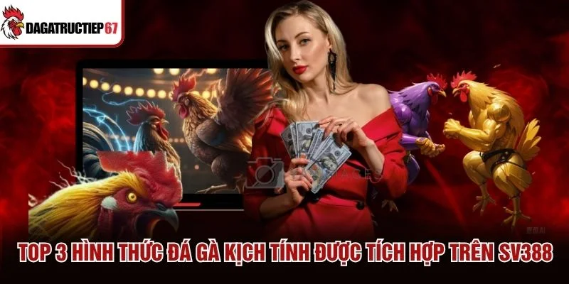 Top 3 hình thức đá gà kịch tính được tích hợp trên SV388 Top 3 hình thức đá gà kịch tính được tích hợp trên SV388