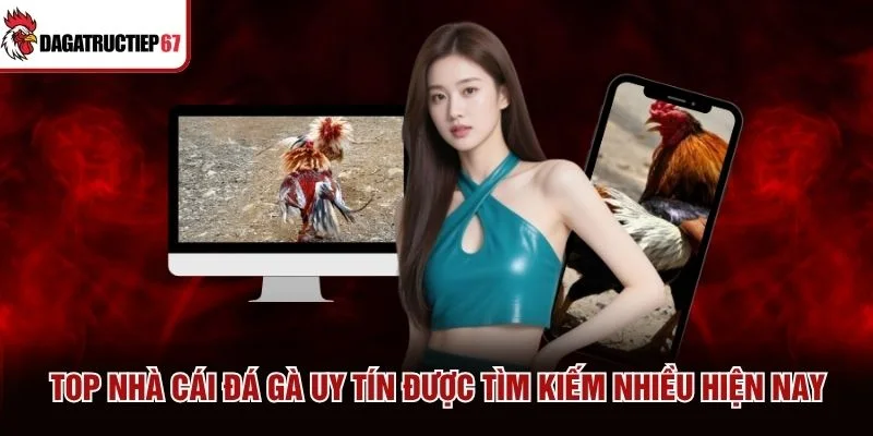 Top nhà cái đá gà uy tín được tìm kiếm nhiều hiện nay Top nhà cái đá gà uy tín được tìm kiếm nhiều hiện nay
