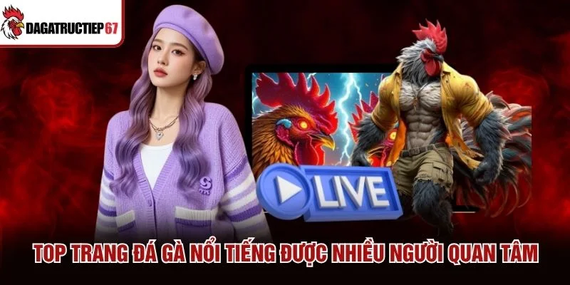 Top trang đá gà nổi tiếng được nhiều người quan tâm Top trang đá gà nổi tiếng được nhiều người quan tâm