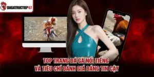 Top Trang Đá Gà Nổi Tiếng Và Tiêu Chí Đánh Giá Đáng Tin Cậy