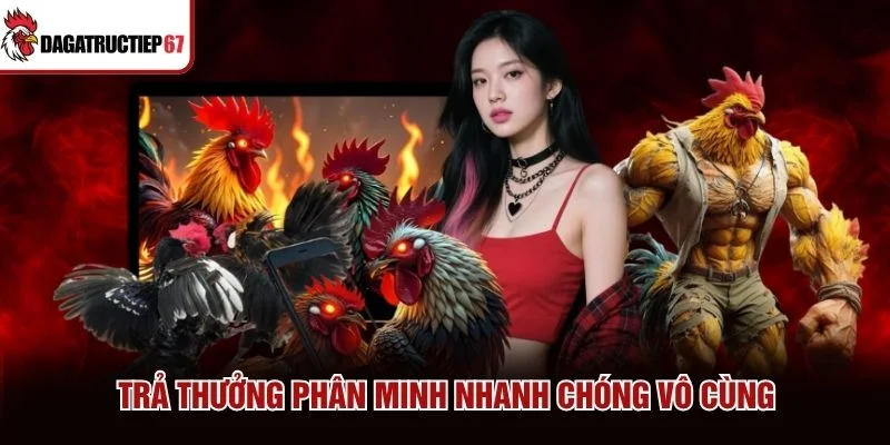Trả thưởng phân minh nhanh chóng vô cùng