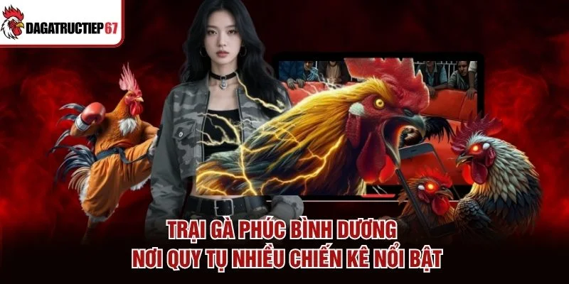 Trại Gà Phúc Bình Dương – Nơi Quy Tụ Nhiều Chiến Kê Nổi Bật
