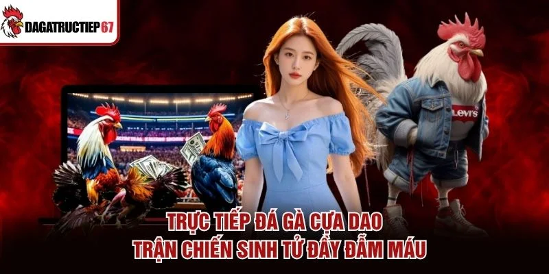 Trực Tiếp Đá Gà Cựa Dao - Trận Chiến Sinh Tử Đầy Đẫm Máu