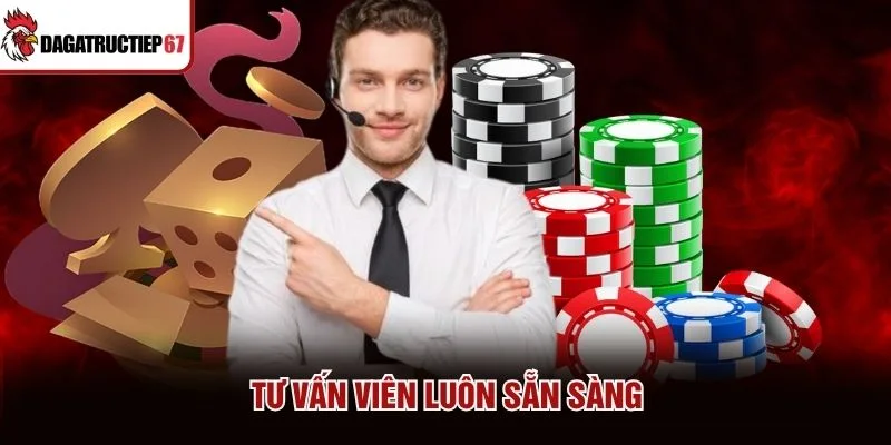 Tư vấn viên luôn sẵn sàng Tư vấn viên luôn sẵn sàng