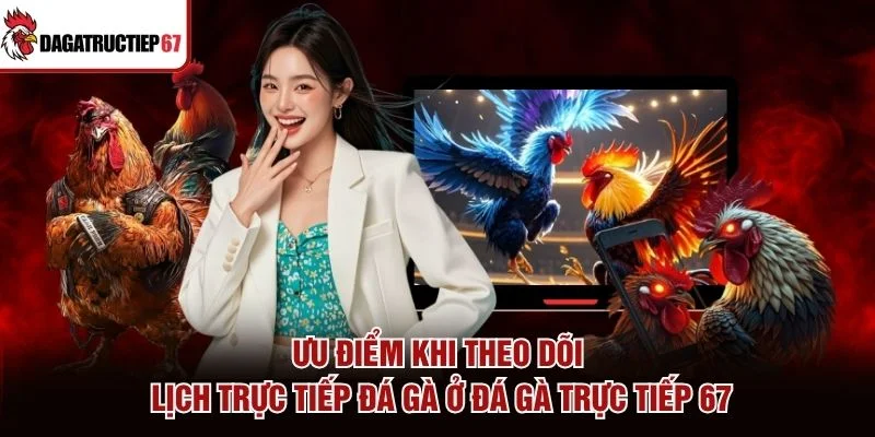Ưu điểm khi theo dõi lịch trực tiếp đá gà ở Đá Gà Trực Tiếp 67 Ưu điểm khi theo dõi lịch trực tiếp đá gà ở Đá Gà Trực Tiếp 67