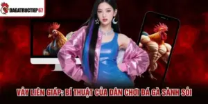 Vảy Liên Giáp - Bí Thuật Của Dân Chơi Đá Gà Sành Sỏi