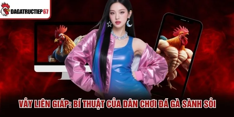 Vảy Liên Giáp - Bí Thuật Của Dân Chơi Đá Gà Sành Sỏi